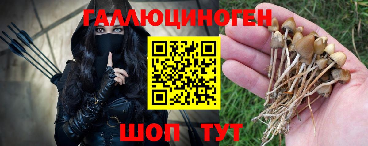 Воткинск  Галлюциногенные грибы прущие грибы  Вход с VPN 
