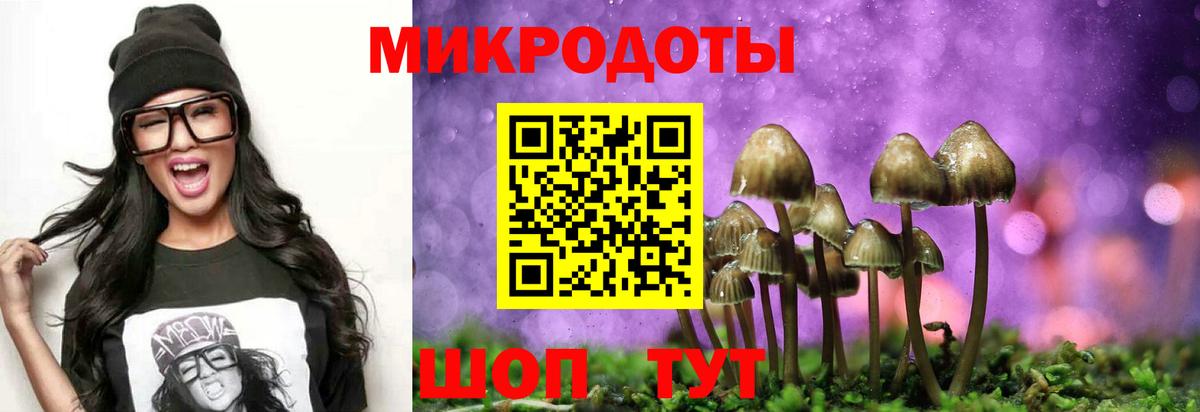 Галлюциногенные грибы Psilocybine cubensis Воткинск